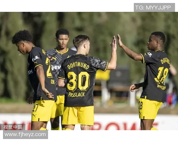 友谊赛精彩对决多特蒙德逆转波尔图引爆全场激情