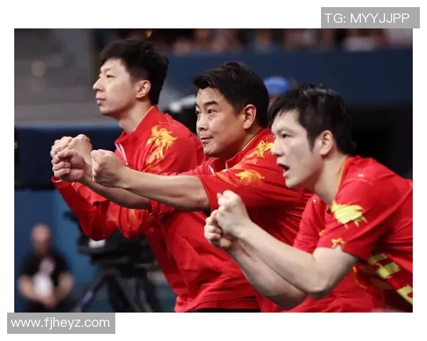 西安乒乓球队状态引发热议球迷与专家观点各异探讨未来发展方向